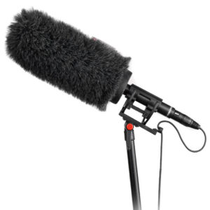 Micrófono boom shotgun